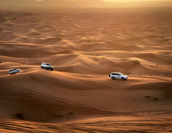 Top Thrilling Activities to Experience on an Evening Safari in Dubai