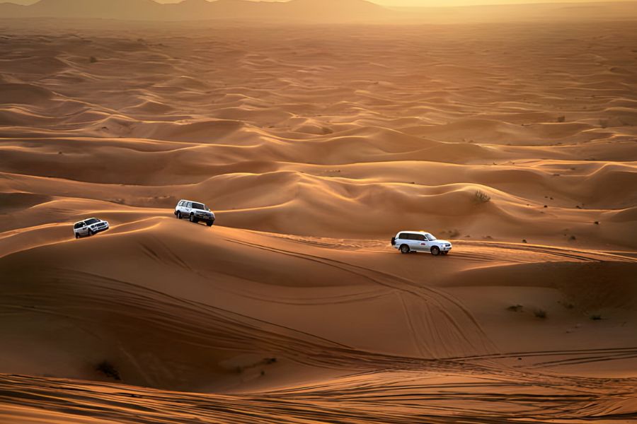 Evening Safari in Dubai