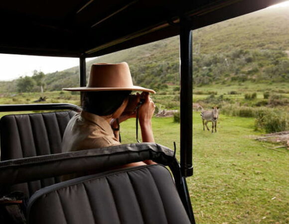 Discover South Africa: 8 Breathtaking Spots You Can’t Miss