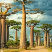 Places to Visit in Madagascar