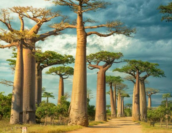 Top 8 Places to Visit in Madagascar