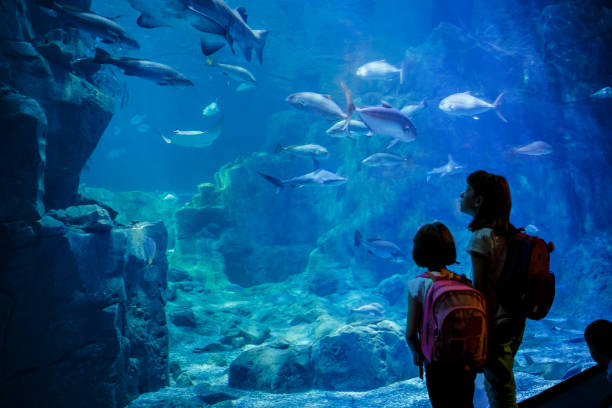 under water zoo dubai