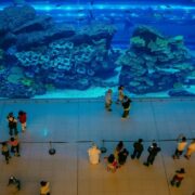Dubai Mall Aquarium