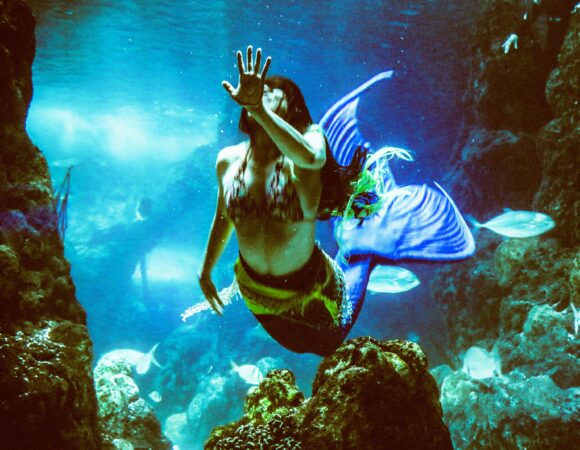 Aquaventure After Dark Secrets They Don’t Want You to Miss
