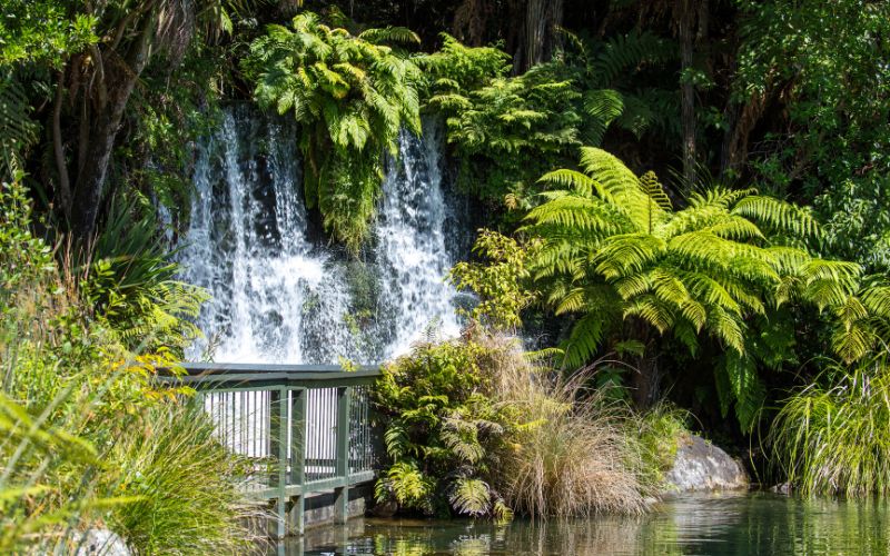 Attractions in New Zealand