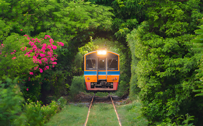 Train Rides in Thailand