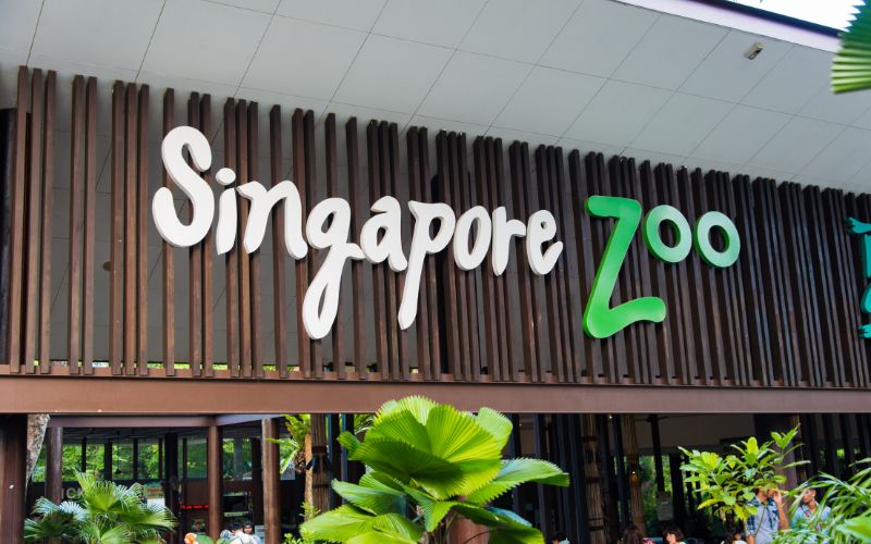 Top Attractions in Singapore