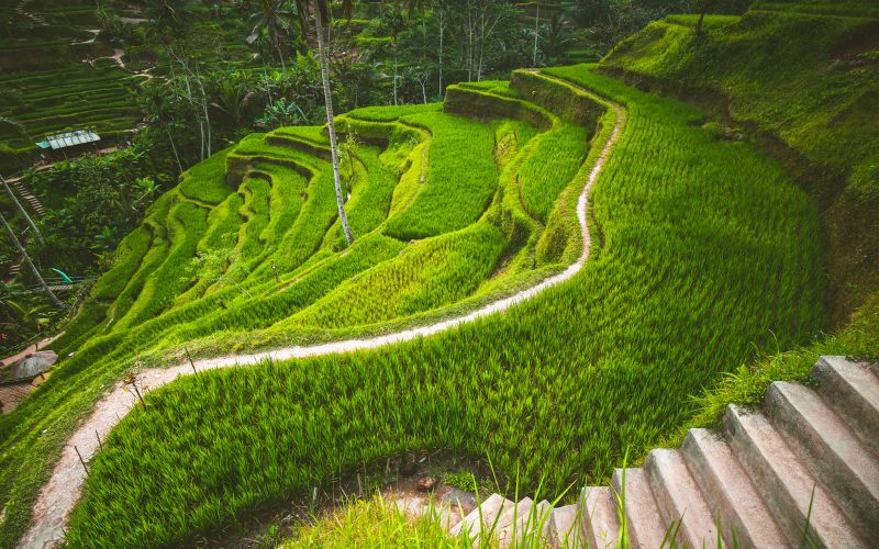 Bali Honeymoon Guide