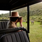 Solo Travelers in South Africa